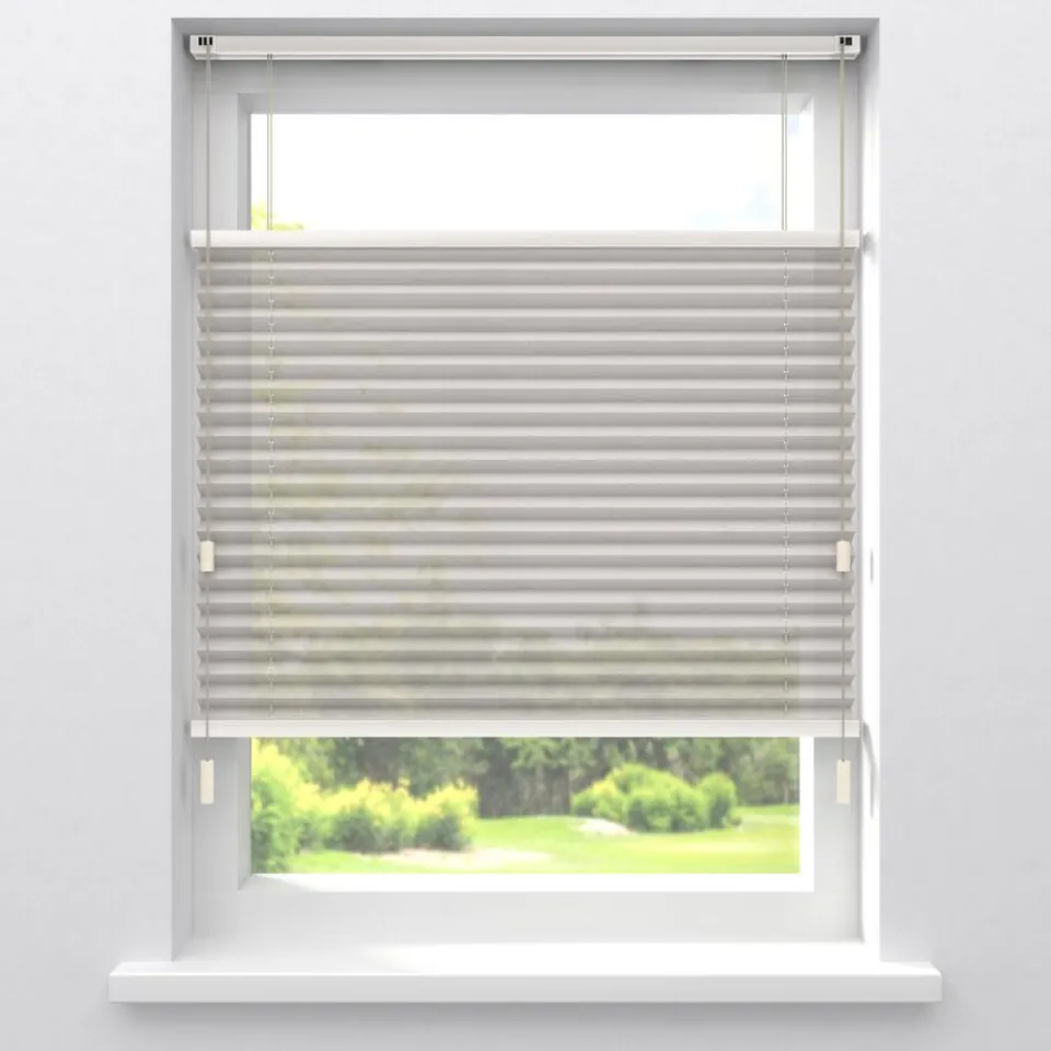 Kwantum Plisségordijnen|Fenstr Plissé Fenna Transparant