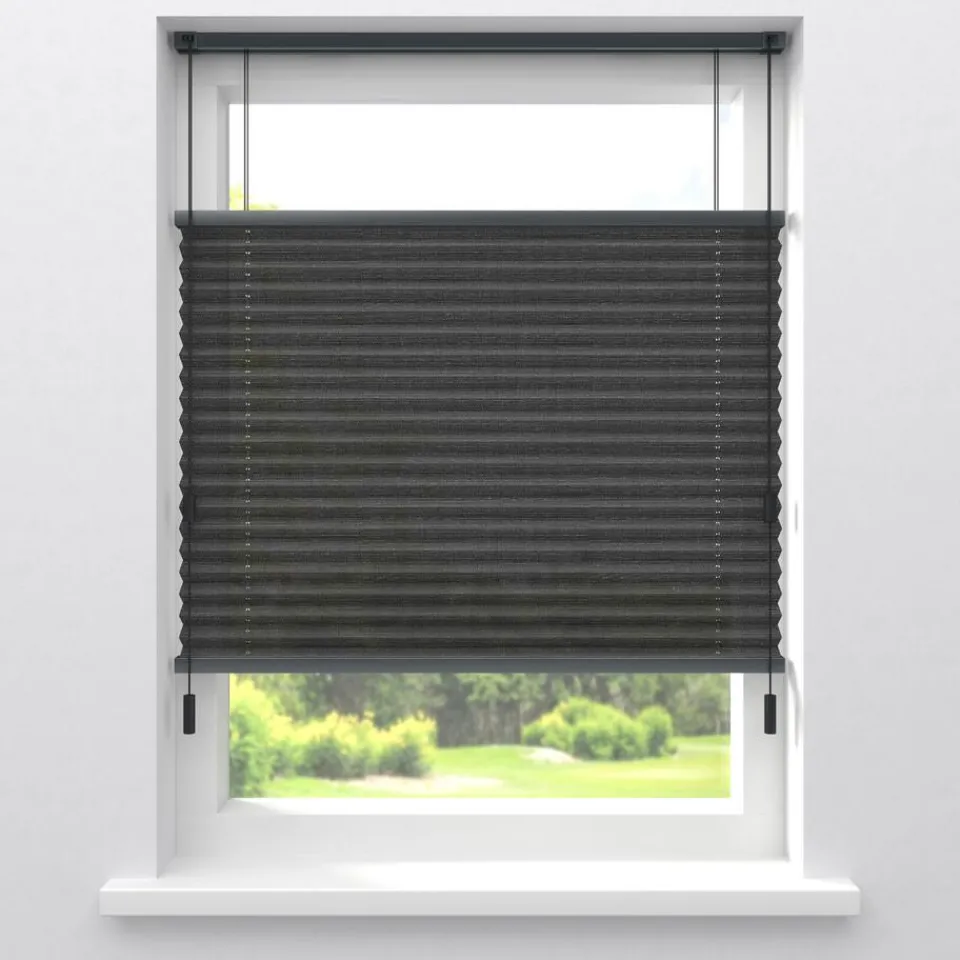 Kwantum Plisségordijnen|Fenstr Plissé Lina Transparant