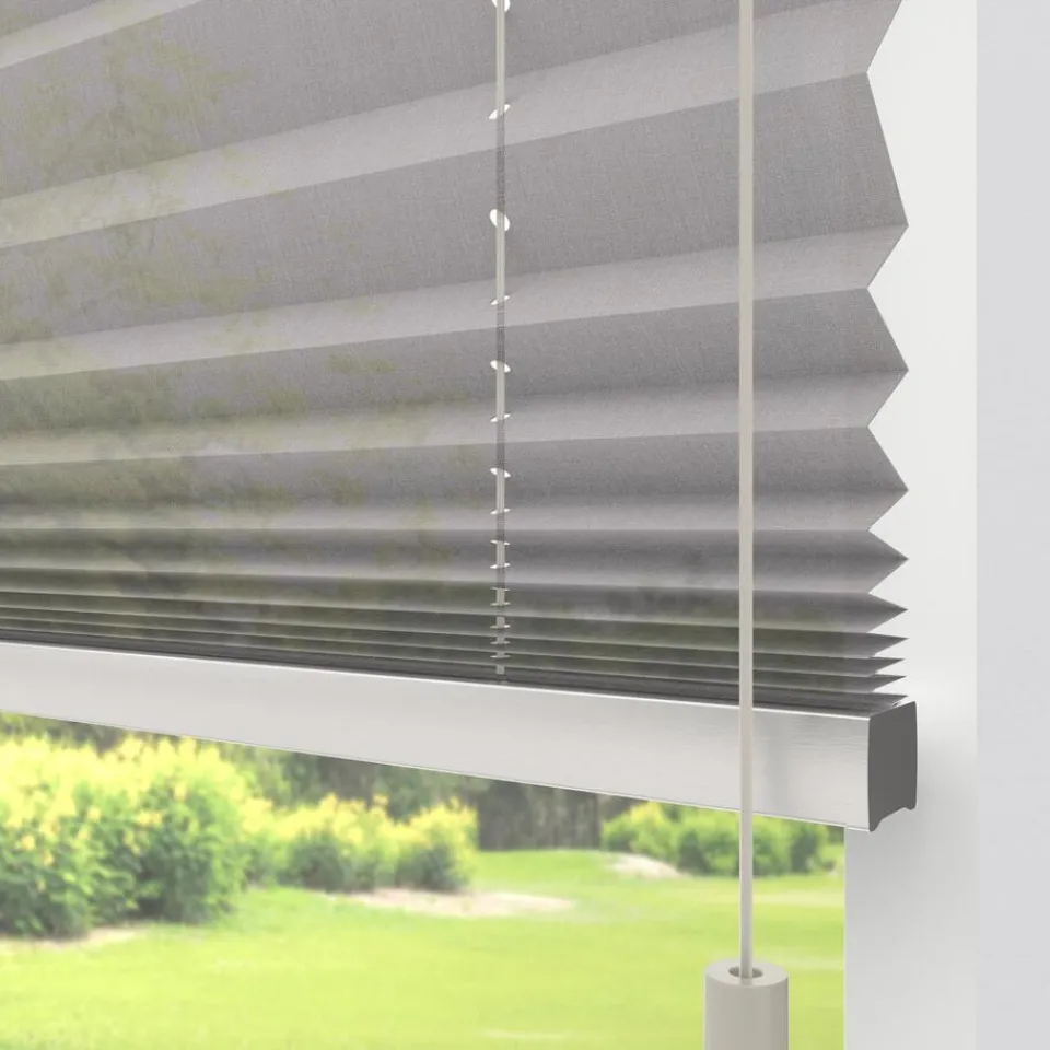 Kwantum Plisségordijnen|Fenstr Plissé Lise Lichtdoorlatend