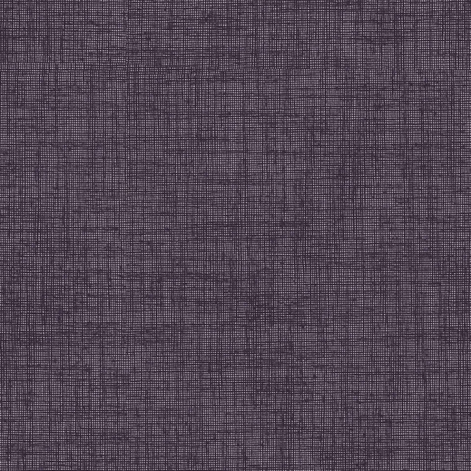 Kwantum Rolgordijnen|Fenstr Rolgordijn Febe Transparant