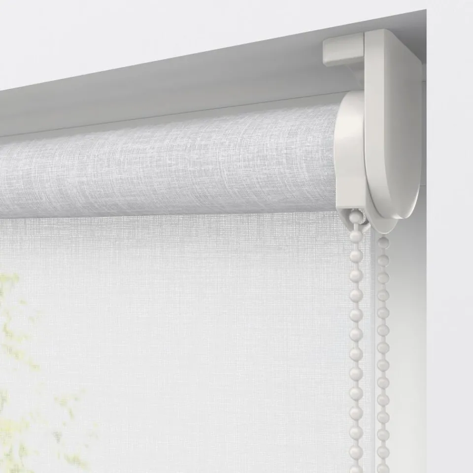 Kwantum Rolgordijnen|Fenstr Rolgordijn Febe Transparant