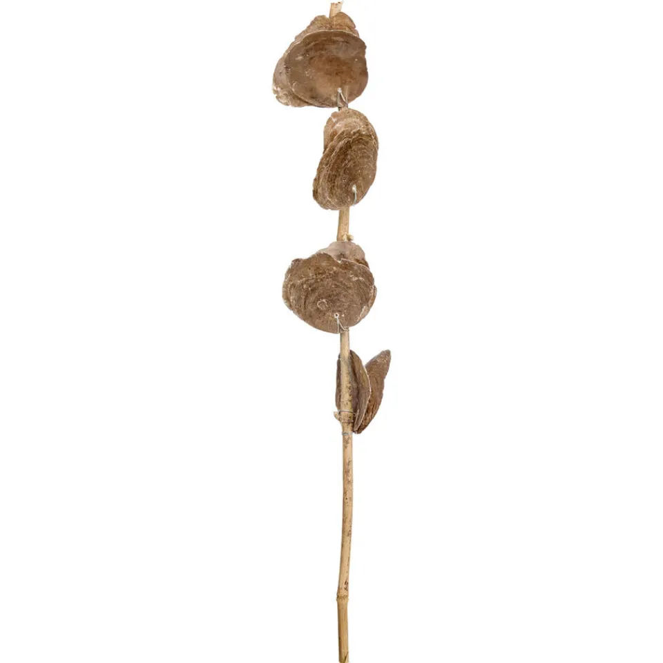 Kwantum Kunstplanten & Kunstbloemen|Kunsttak Capiz Taupe