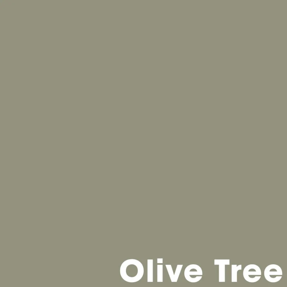 Kwantum Muurverf|Muurverf Professional Olive Tree 1 L