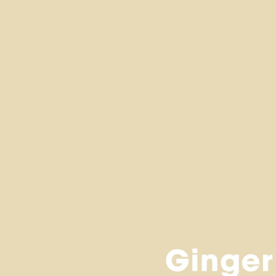Kwantum Muurverf|Muurverf Professional Ginger 1 L
