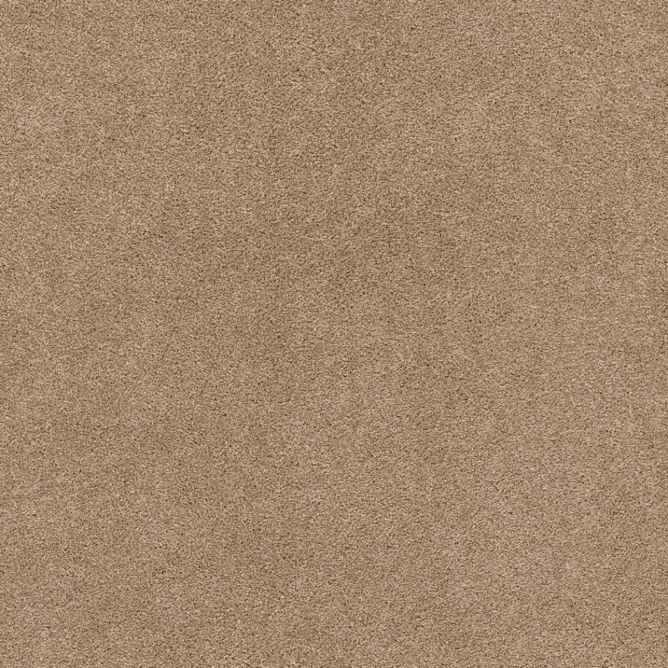 Kwantum Tapijt|Traprenovatie & Trapbekleding|Tapijt Leetsdale Lichtbruin